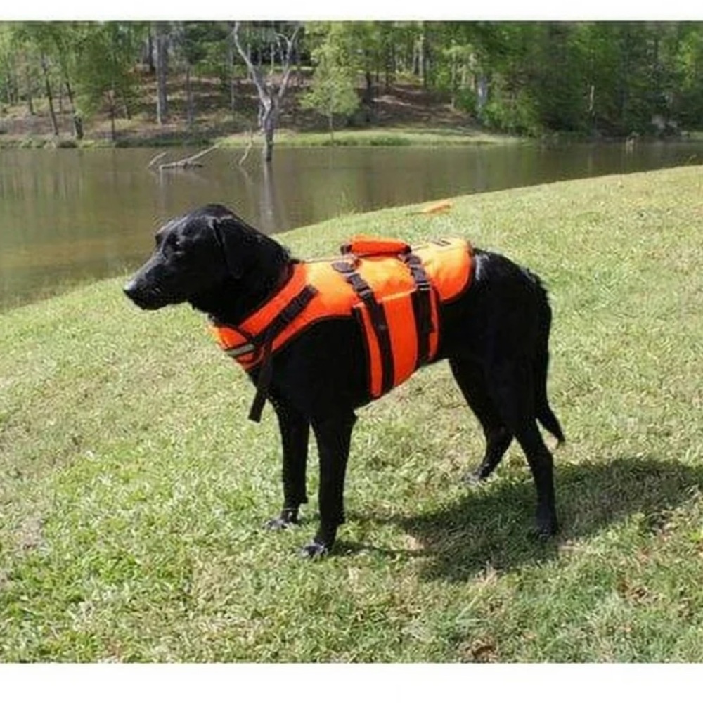 Outback Jack dog life jacket flotation NWOT